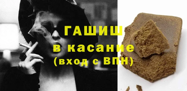 гашик Алексин