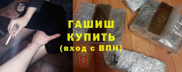 гашик Алексин