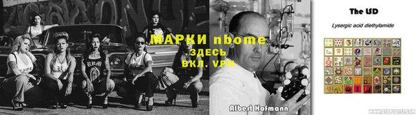 гашик Алексин