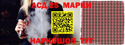 прущие грибы Долгопрудный