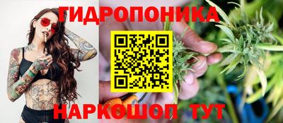 прущие грибы Долгопрудный