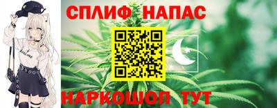 прущие грибы Долгопрудный