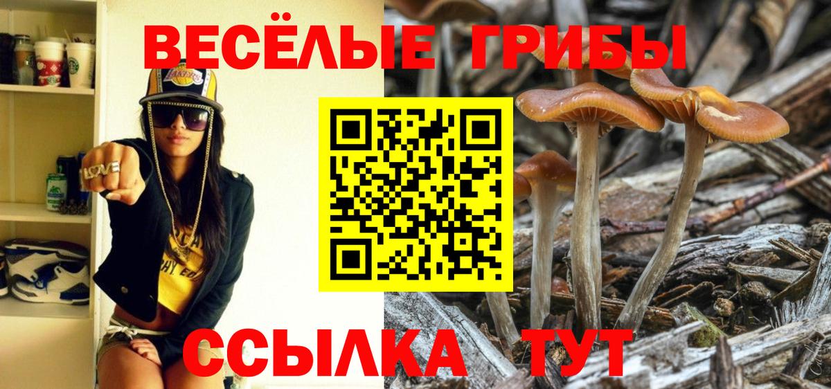 Псилоцибиновые грибы ЛСД Саки