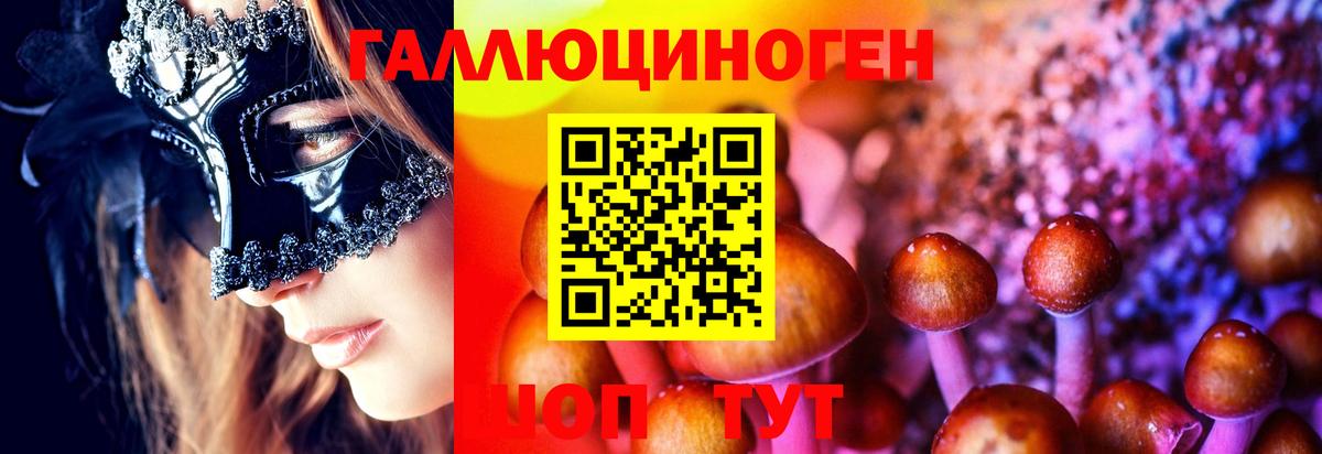 Псилоцибиновые грибы Psilocybine cubensis  Вход с VPN  Псилоцибиновые грибы Magic Shrooms  где можно купить   Саки 